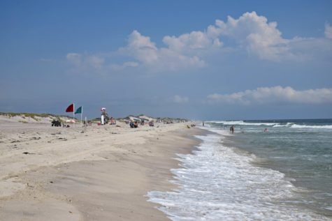 NPS/Fire Island National Seashore