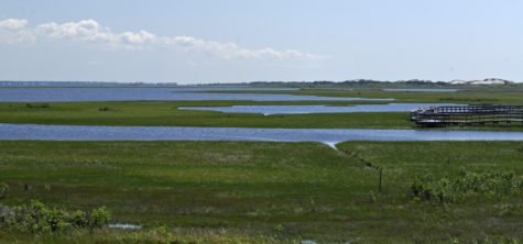 NPS/Fire Island National Seashore