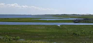 6-18-08_DA__DSC6426-475×222