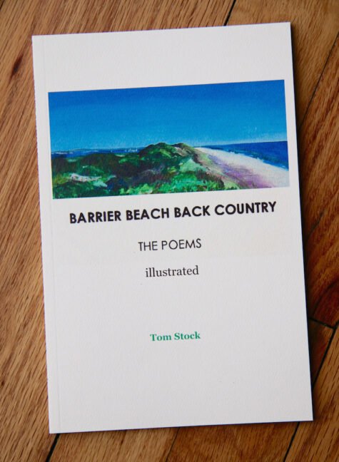 Book-Review-1-475×648