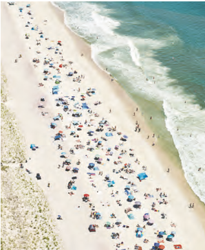 Cherry Grove