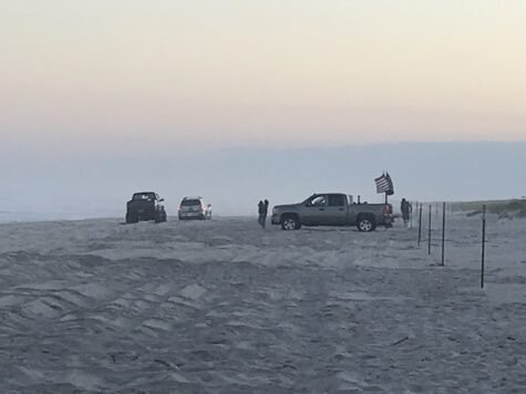 E9463201-A666-4E74-A3BD-188A4FAC4E88-475×356