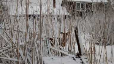 IMG_20210207_161414574