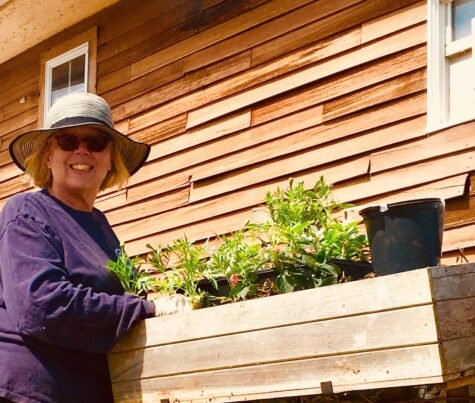 Ocean-Bay-Park-1-475×403