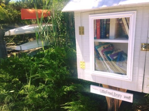 The Dunewood Lending Library 