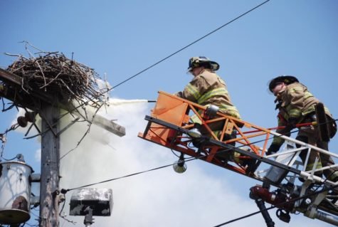 Hooray for the Osprey! (Courtesy of Bay Shore Fire Department.)