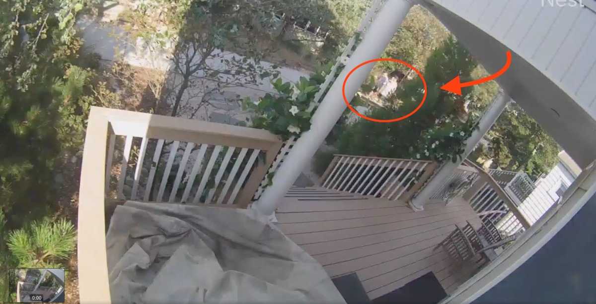 Screen-Shot-2020-10-11-at-5.35.12-PM.12-PM