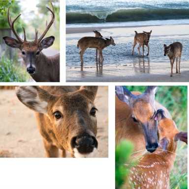 Screen-Shot-2021-08-02-at-3.30.09-PM.09-PM