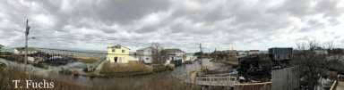 Tanyas-photo