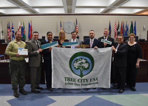 Tree-City-2019