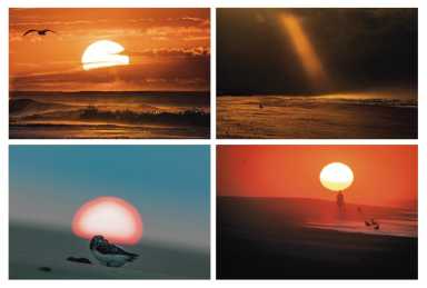 fireisland_2021_Issue3