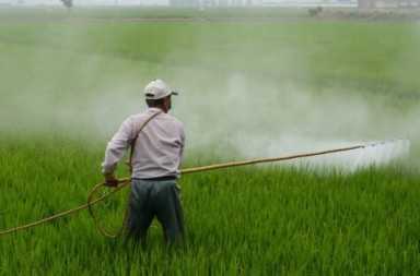 glyphosate