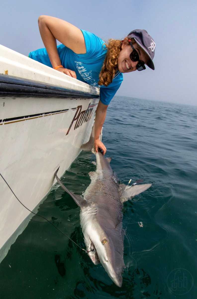 shark-selfie-SOFO