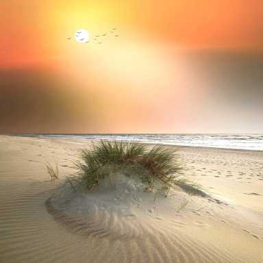 thumbnail_FIN-2023-05-26-B