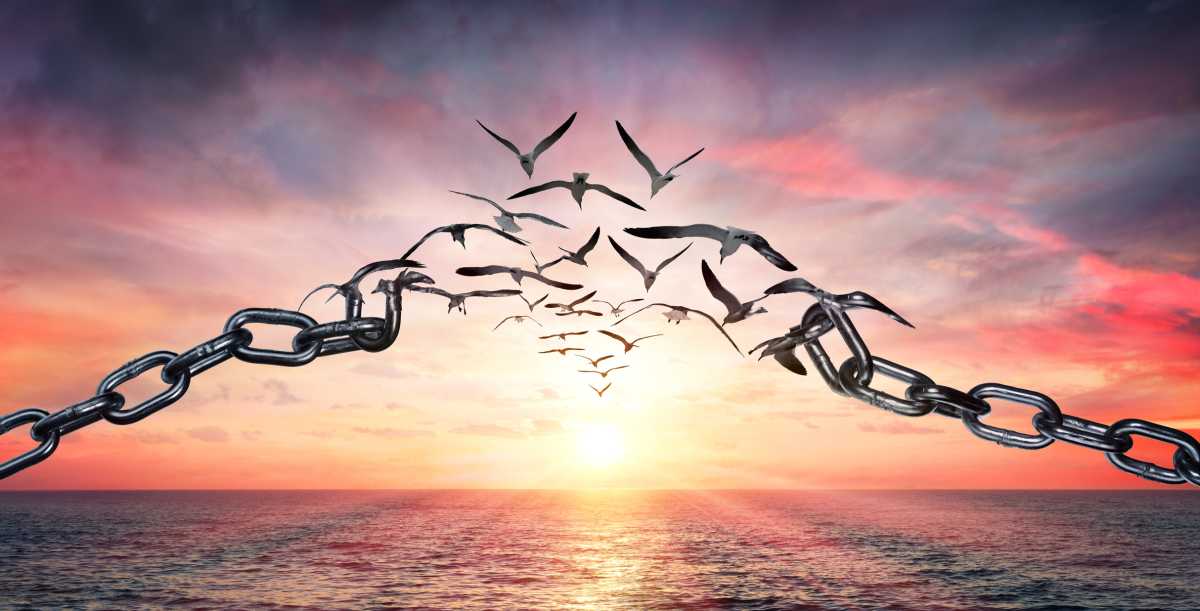 On The Wings Of Freedom – Birds Flying And Broken Chains – Charge Concept