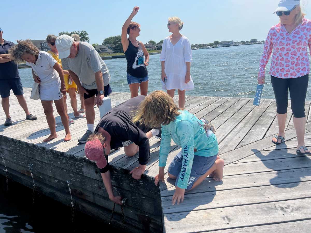 Save the Great South Bay Restorative Aquaculture