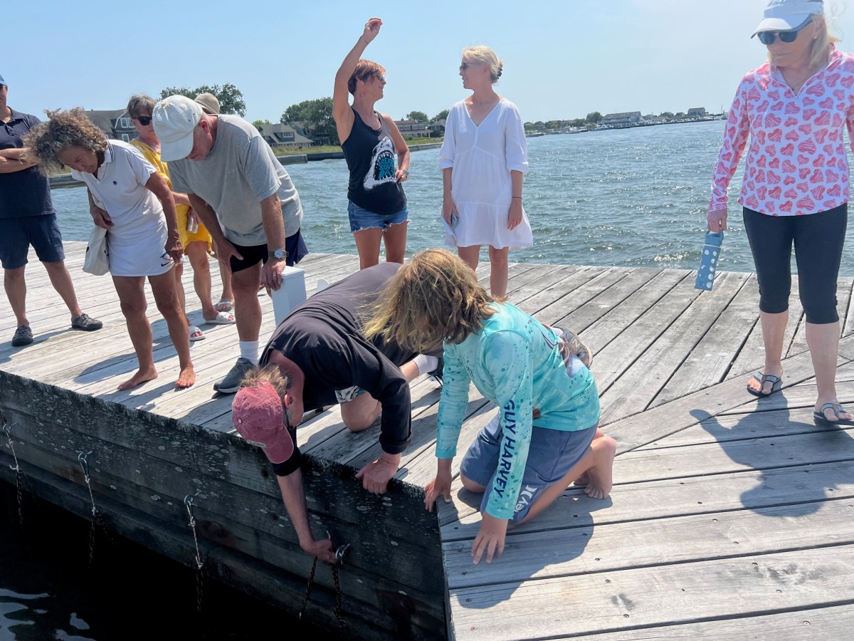 Save the Great South Bay Restorative Aquaculture