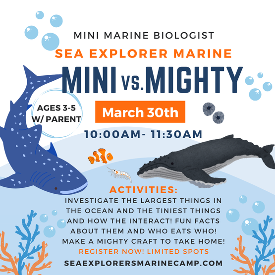 Mini_vs._Mighty