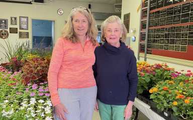 KFA Plant sale