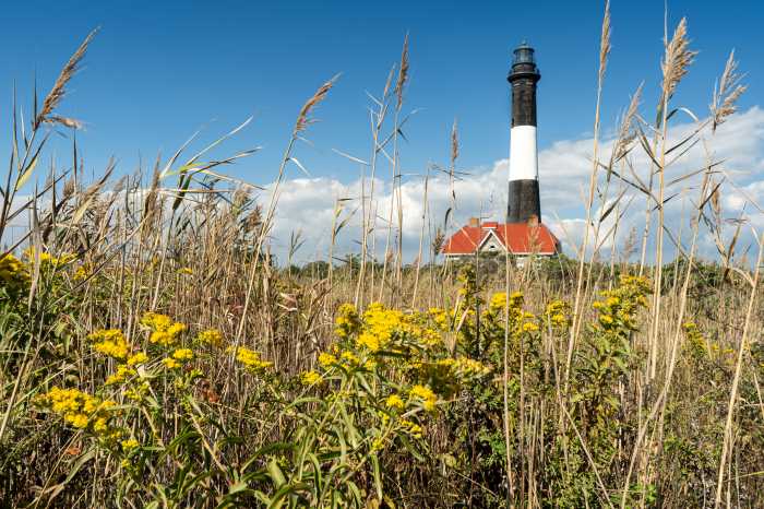 Just because school is back in session and the calendar reads September doesn’t mean that the fun stops on Fire Island. This stretch of time—after the bustle of summer crowds but before you need a coat to leave the house—is often called the “shoulder season,” or, as locals lovingly say, “Local’s Summer.” It’s a period when you can roam the streets without dozens of visitors, boat across the Great South Bay without weaving through a million others, and enjoy the island at a calmer, more authentic pace. There are still plenty of exciting events and local spots worth checking out during this unique time, which could be even more enjoyable than before!