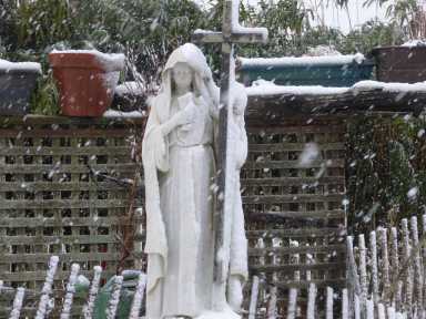 It was a mild and tranquil Christmas Day on Fire Island, as all who stayed here over the holiday can attest. However, after the holiday bliss, residents who live here year-round woke up to no electricity as early as 2 a.m. this morning. The outage appears to extend from the Atlantique community through the western half of Ocean Beach. PSEG Long Island has not responded to our questions about the cause of this outage. Power was restored at approximately 12:15 p.m.  Over the past nine hours, affected households used their emergency power generators, if available—those who did not waited it out.