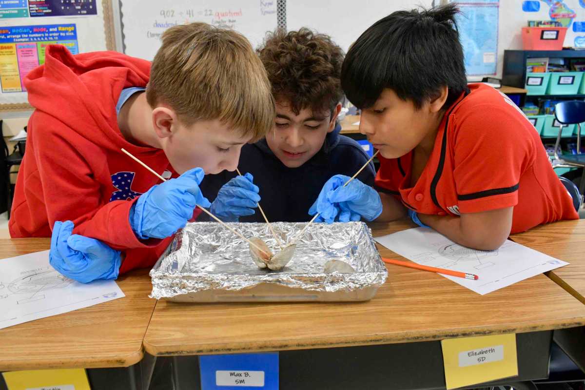Representatives from the Seatuck Environmental Association recently visited fifth-grade students across the Bayport-Blue Point School District as part of the ISLE (Introducing Students to Long Island Estuaries) program. The partnership provides students with hands-on opportunities to learn about Long Island wildlife, conservation, and local ecosystems.