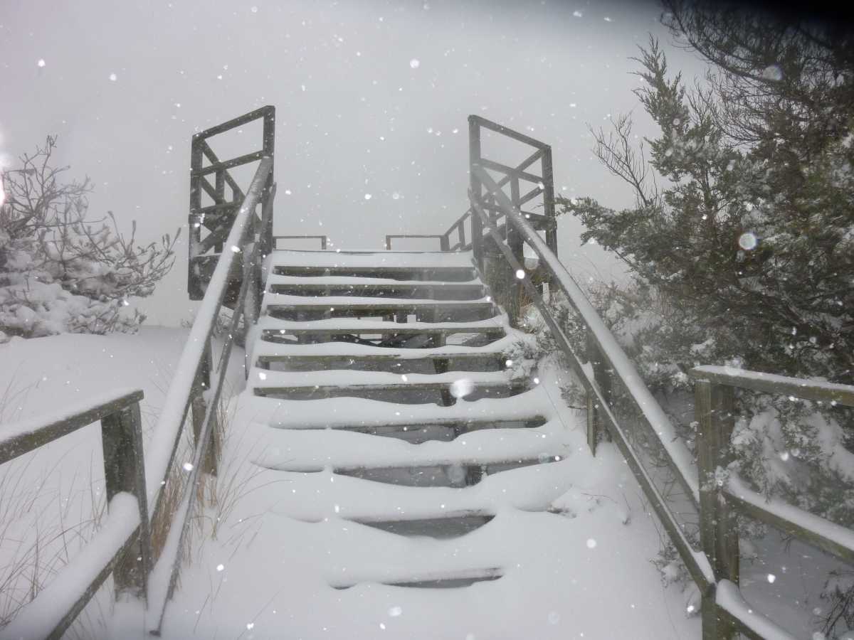 As Long Islanders brace for what is predicted to be a substantial snowstorm this coming weekend, ferry service carriers have announced service cancellations.