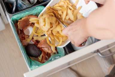 Patchogue Village is getting closer to collecting your organic food scraps for compost purposes.