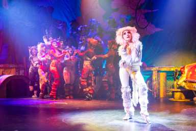 Cats is a famous musical by Andrew Lloyd Webber, based on T.S. Eliot's Old Possum's Book of Practical Cats, about a tribe of cats called the Jellicles who gather for their annual ball to decide which one will ascend to the “Heaviside Layer" (Heaviside, is a cat’s heaven) for a new life, with the show featuring iconic songs like "Memory."