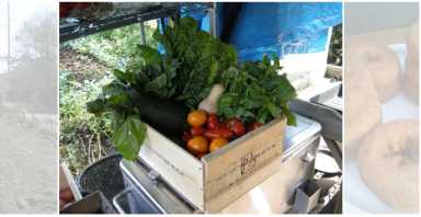 Despite the coldest winter on Long Island in over a decade and the feeling that it will never end, the cycle of seasons must commence. As the frozen tundra-like island finally thaws, it means the beginning of the crop season is about to begin. Farmers of both organic and traditional farms will rev up their tractors, plow their fields, and plant their seeds as the threat of a dreary winter’s last frost nears. U.S. Senator Kirsten Gillibrand already has the spring chapter opened in her book. On January 30, 2026, the 17-year-long Senator joined 14 other lawmakers in reintroducing the Opportunities in Organic Act to legislation.