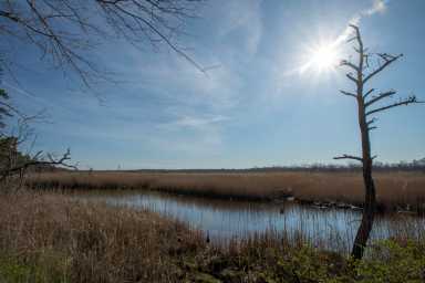 Suffolk County Police Department (SCPD) Aviation Section officers assisted a 15-year-old who was trapped in the mud while trying to leave Wertheim National Wildlife Refuge on Sunday night.