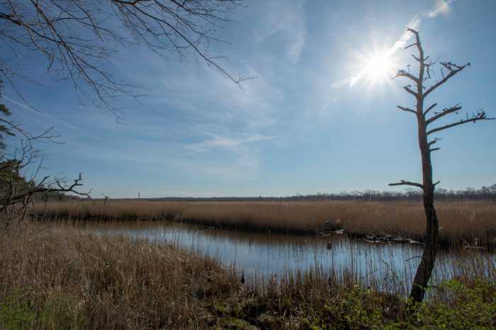 Suffolk County Police Department (SCPD) Aviation Section officers assisted a 15-year-old who was trapped in the mud while trying to leave Wertheim National Wildlife Refuge on Sunday night.
