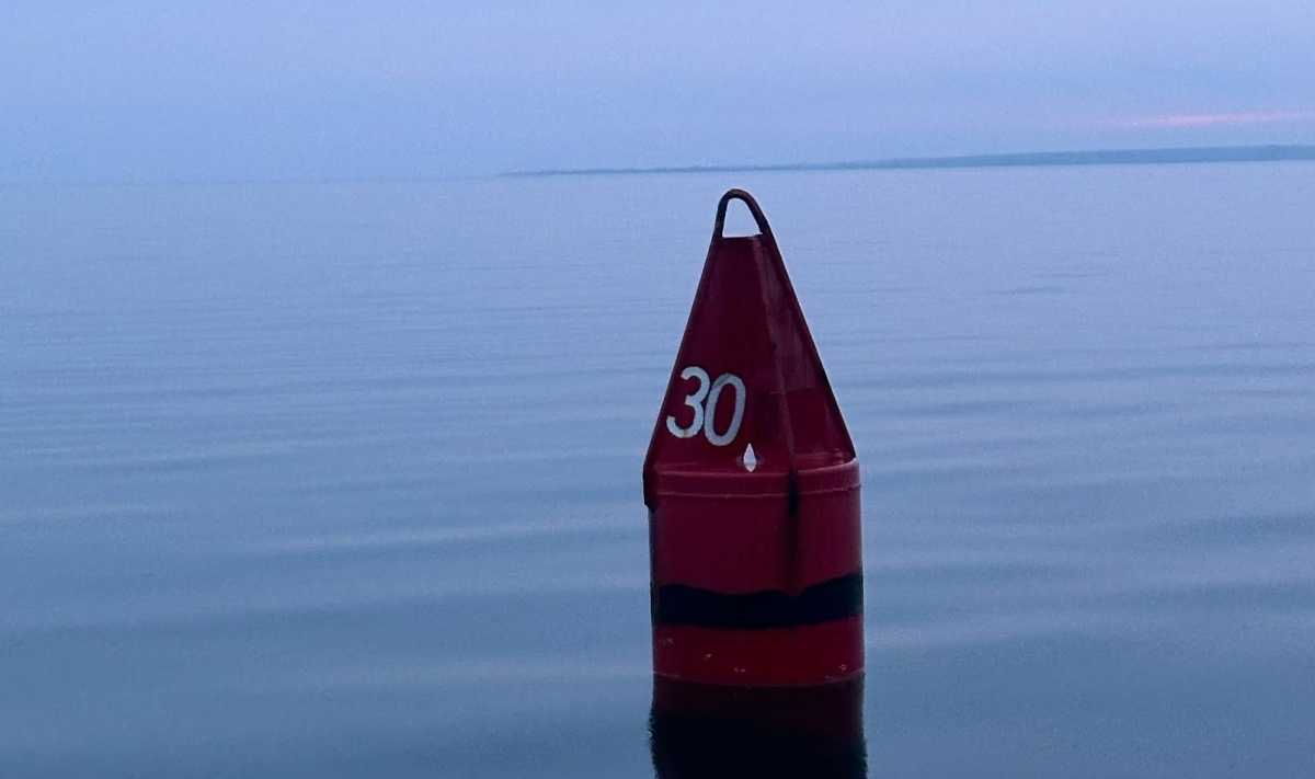 Fifty-eight-year-old  Abimal Acosta of West Islip was arrested on a Boating While Intoxicated (BWI) charge after giving chase to the Suffolk County Police Department's (SCPD)Marine Bureau and the U.S. Coast Guard (USCG).