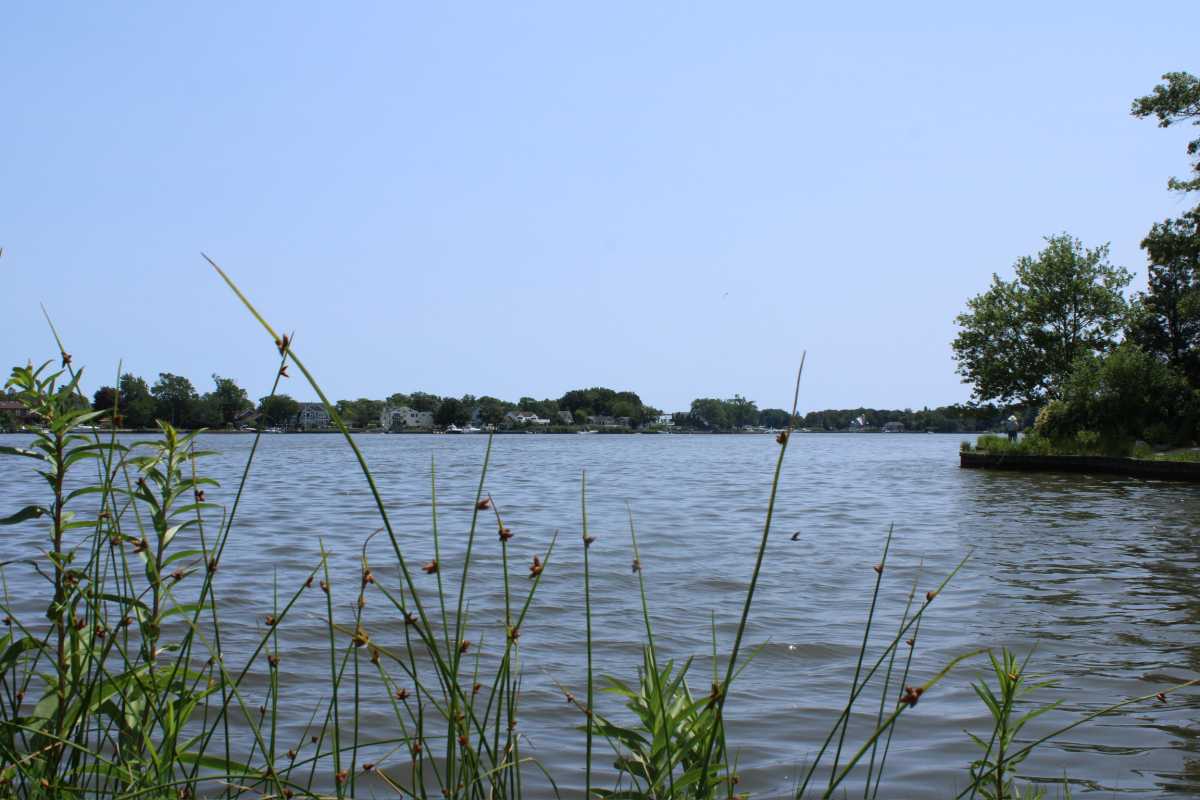 As a lover of nature, sightseeing, and hiking, I enjoy exploring the parks and beaches on Long Island during the summer. This week, I visited all the state parks in the Great South Bay area. As a lifelong Bay Shore resident, I’ve been to most of them at least once, but I set aside time to explore and appreciate the natural environment and amenities near my hometown.