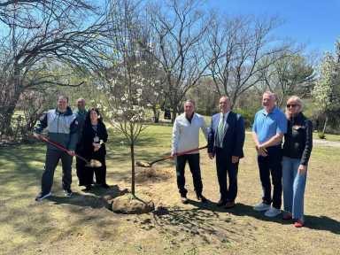 Town Council members planting a tree